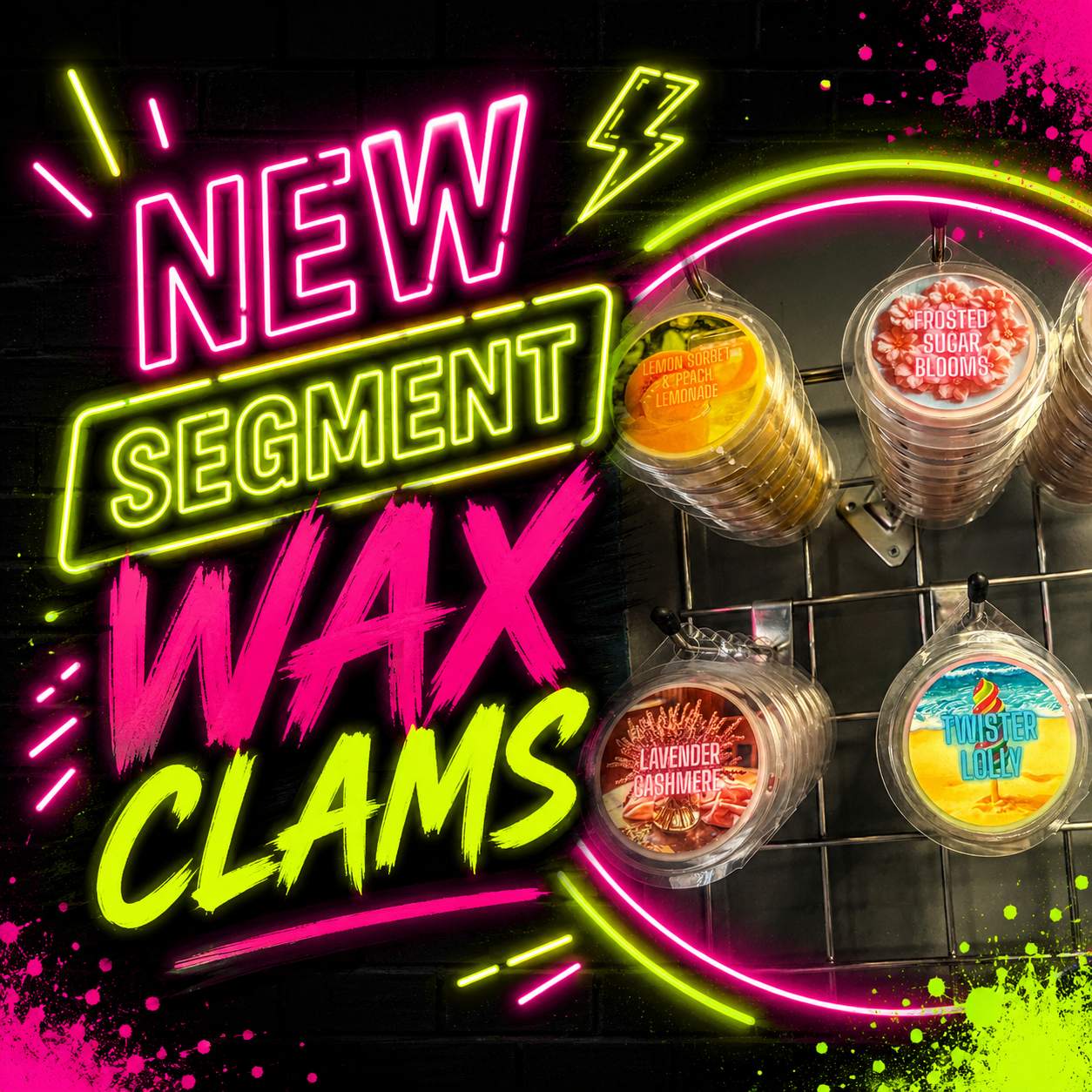 NEW SEGMENT CLAMS ( BUY 5 GET 1 FREE)
