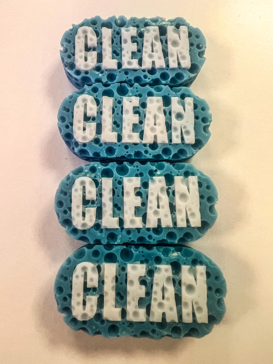 CLEAN SPONGES WAX MELTS