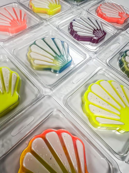 SEASHELL WAX CLAMSHELLS