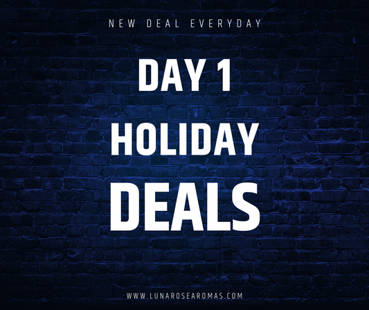 HOLIDAY DEAL DAY 1