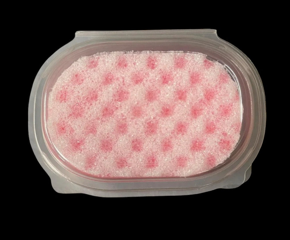 SOAP SPONGE CLAMSHELL