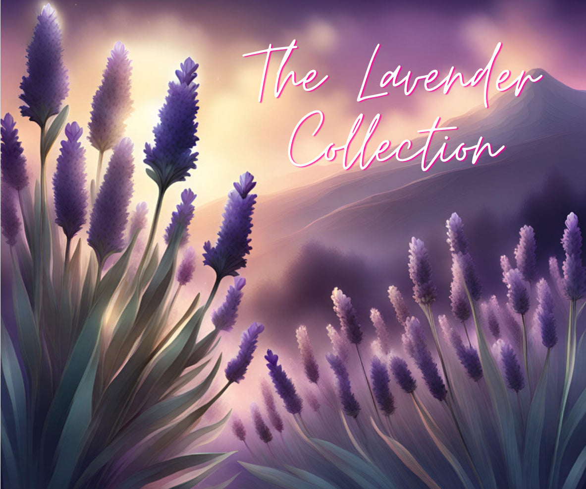 The Lavender Collection